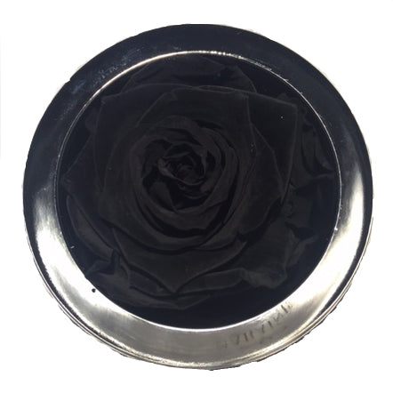 Luxury Gift Saraine Preserved Black Rose