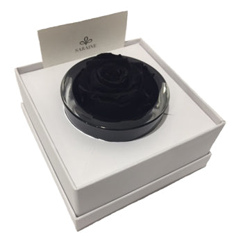 Luxury Gift Saraine medium preserved Chic black rose
