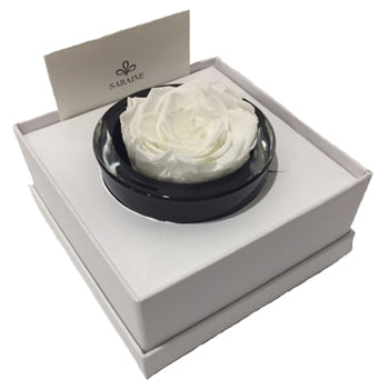 Luxury Saraine medium preserved elegant white rose in gift box
