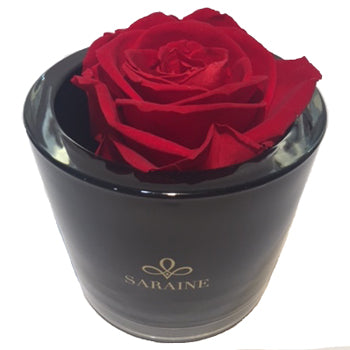 Luxury Saraine preserved love red rose