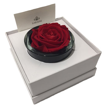 Luxury Saraine preserved love red rose in gift box